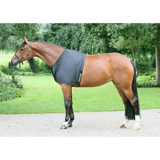 Therapeutic Horse Padded Shoulder Guard