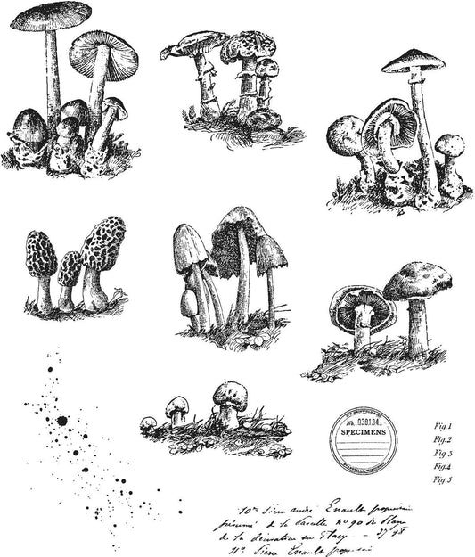Tim Holtz - Stampers Anon Cling RBBR Stamp Set, Tiny Toadstools
