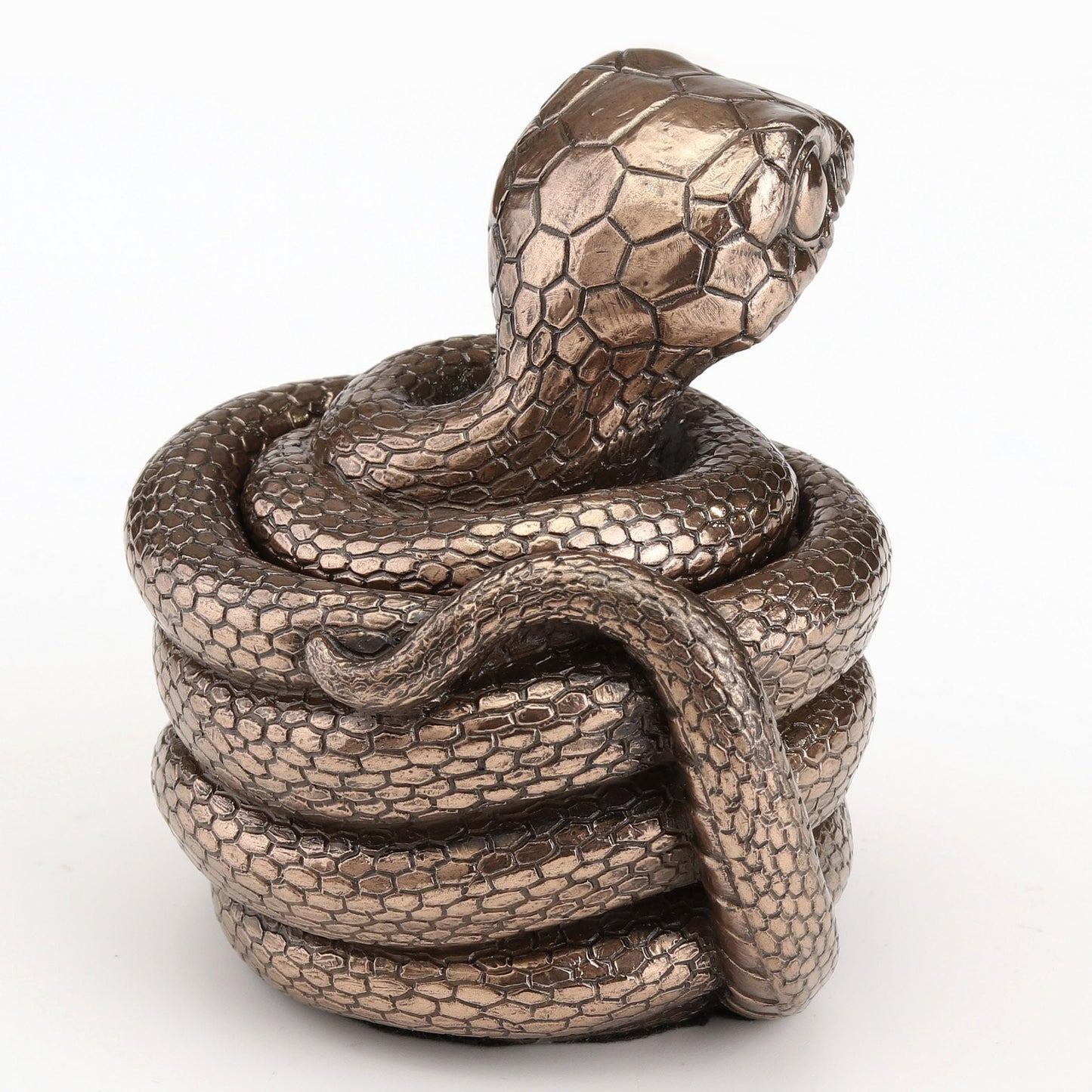 Veronese Design 3 Inch Coiling Snake Secret Trinket Stash Box Cold Cast Resin Bronze Finish Cute Animal Sculpture