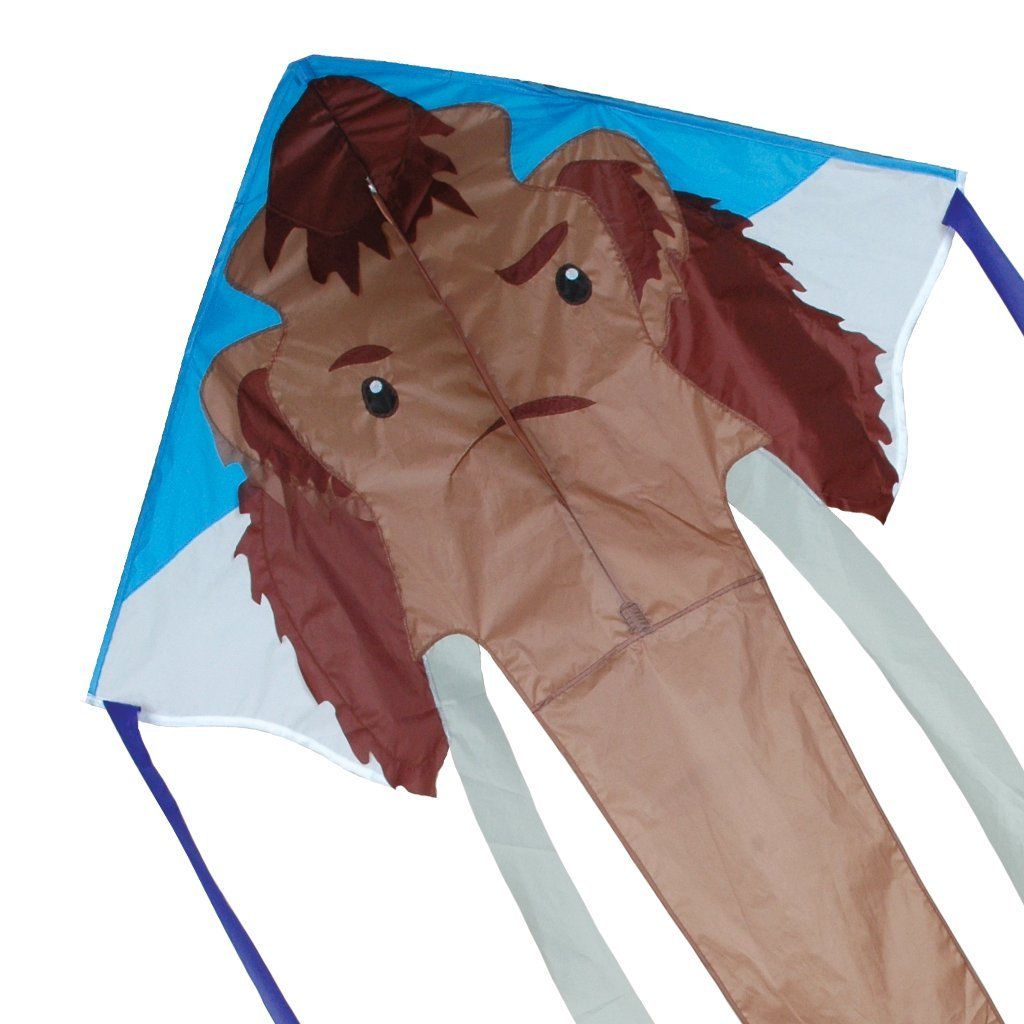 Large Wooly Easy Flyer Kite