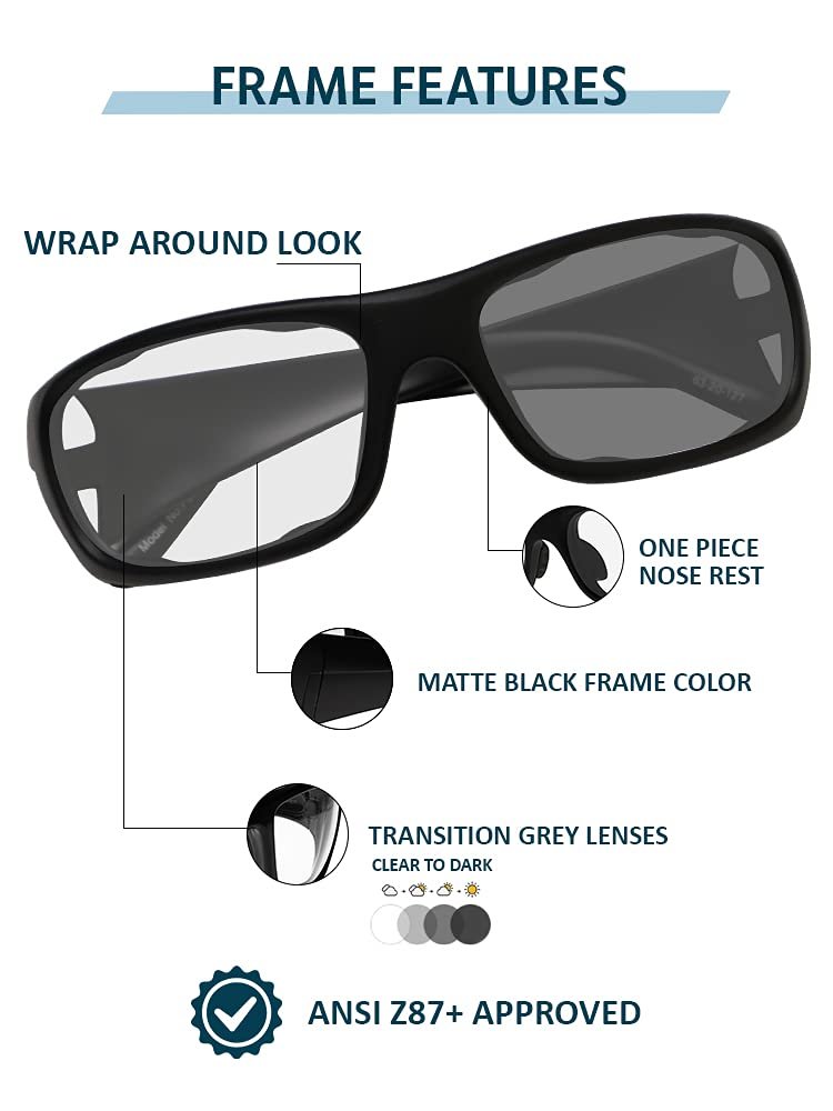 Photochromic Safety Glasses with Transition Lenses P820