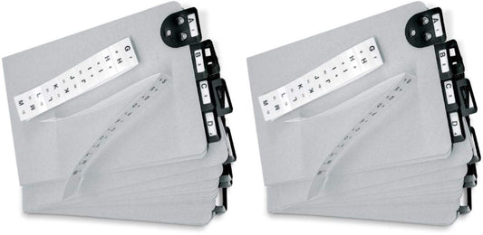 Martin Yale 14254 Posting Tray Index Sets (Pack of 2); Designed for use with V-Matic, Porta-Matic and Card-Matic Posting Tray Sets, Dimensions 6" x 9"