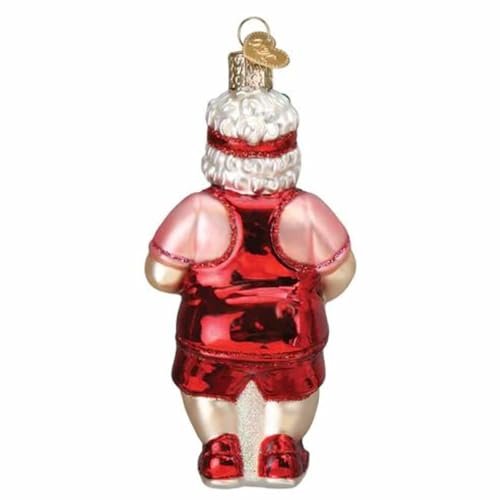 Old World Christmas Glass Blown Ornament for Christmas Tree