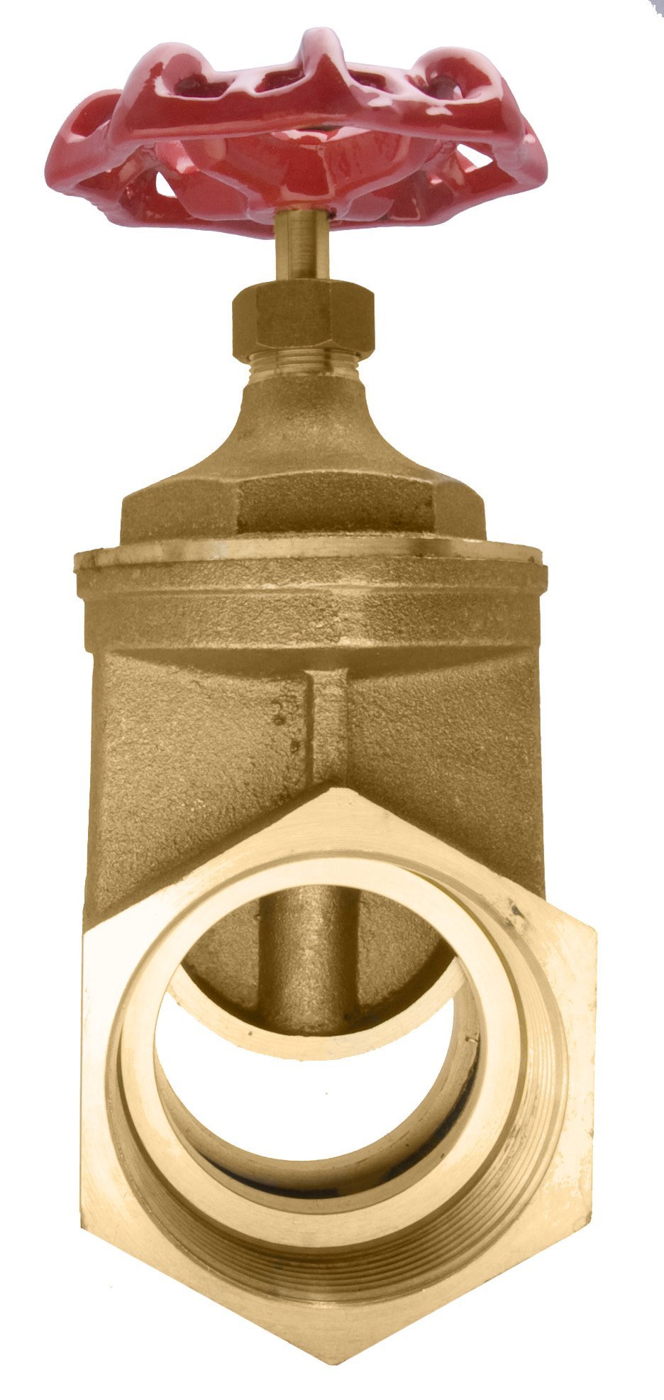 Brass Gate Valve - 200 WOG, FxF NPT