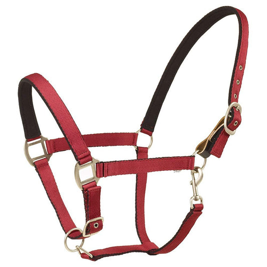 Centaur Solid Cushion Padded Breakaway Halter