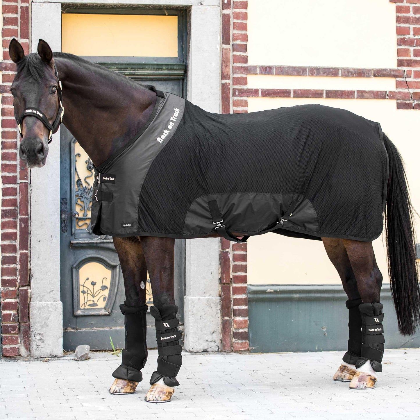 Royal Mesh Sheet for Horses 2214 Welltex Technology