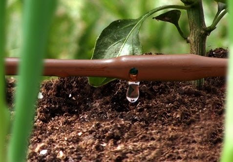 Mister Landscaper 100-ft Coil 1/4-in In-Line Drip Tubing