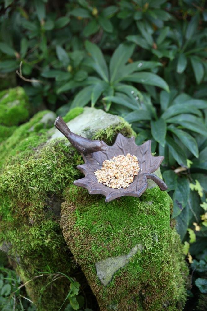 Fallen Fruits FB152 Small Cast Iron Bird Bath, Antique Brown