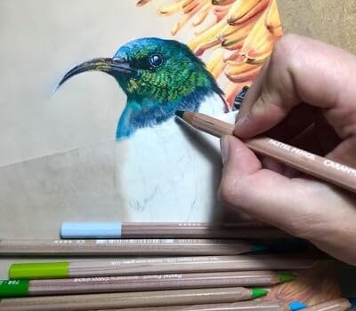 Caran D'ache Pastel Pencils - Black (788.009)