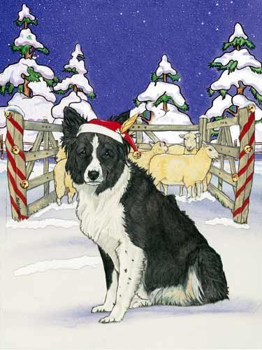 Pipsqueak Border Collie Christmas Cards Santa's Cap : 10 Holiday Cards with Envelopes