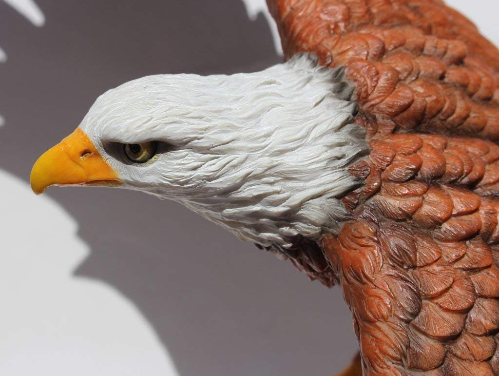 Unicorn Studios WU74890AA Flying Eagle with Color Sculpture