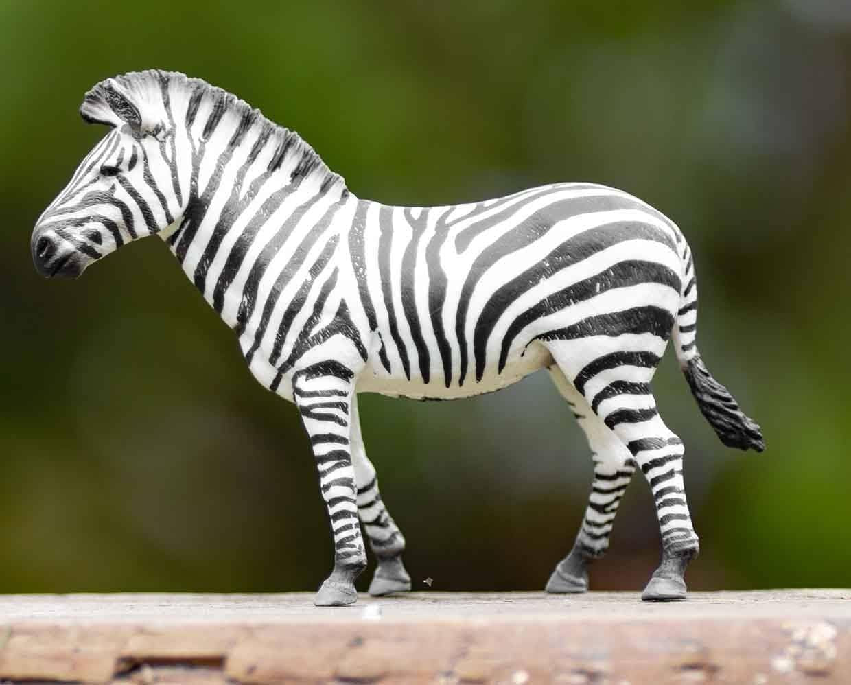 COLLECTA Common Zebra