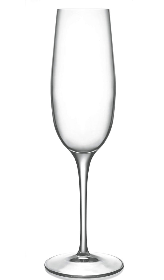 Luigi Bormioli Palace 8 oz Flute for Sparkling Wine/Champagne/Prosecco/Cava/Lambrusco Glasses (Set Of 6) : Ultra Clear Glass, Laser Cut Rim, Lead-Free, Elegant Drinking Glassware