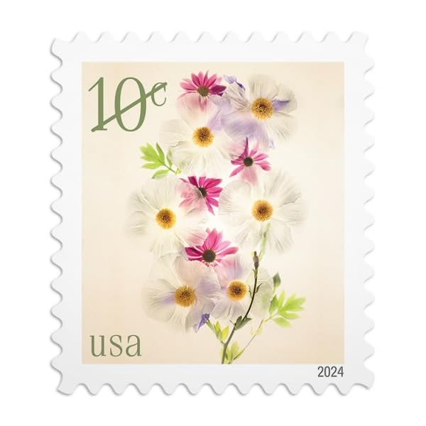 Poppies and Coneflowers 2024 10-Cent (Sheet of 20) Ten-Cent Denominated Mail-use Additional Postage Stamps
