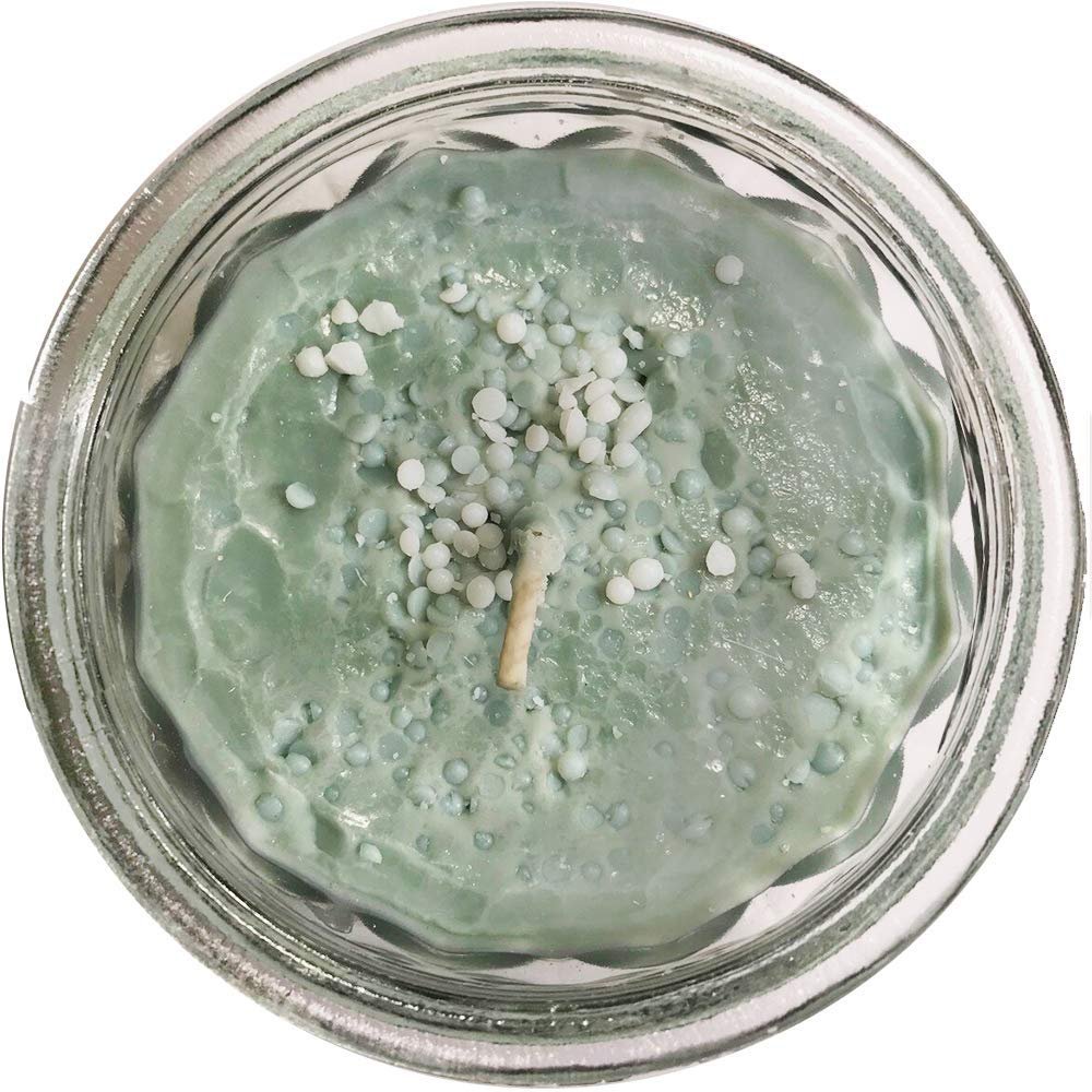 Swan Creek Timeless Collection Fresh Cut Christmas Tree Candle