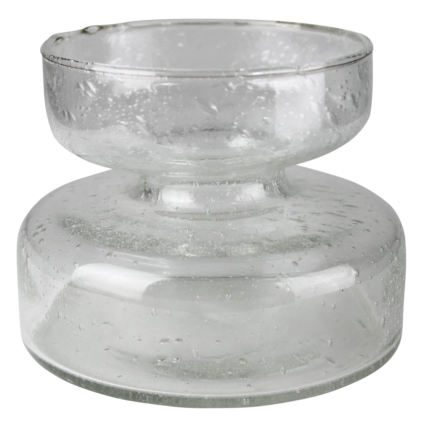 Seeded Glass Amaryllis Bulb Vase