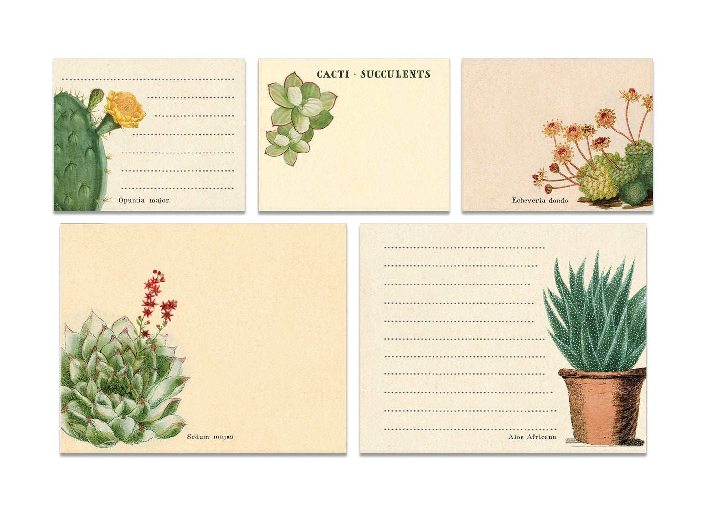 Cavallini Sticky Notes Set