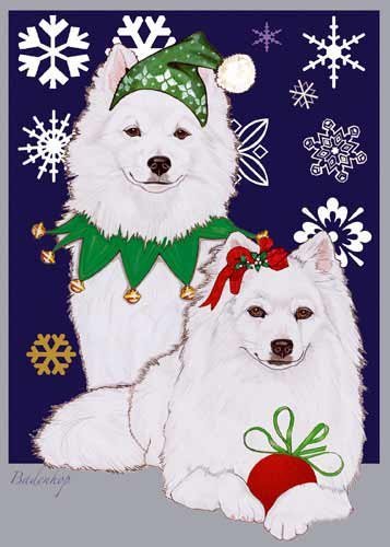 Pipsqueak American Eskimo Dog Christmas Cards : 10 Holiday Cards with Red Envelopes - ADORABLE!