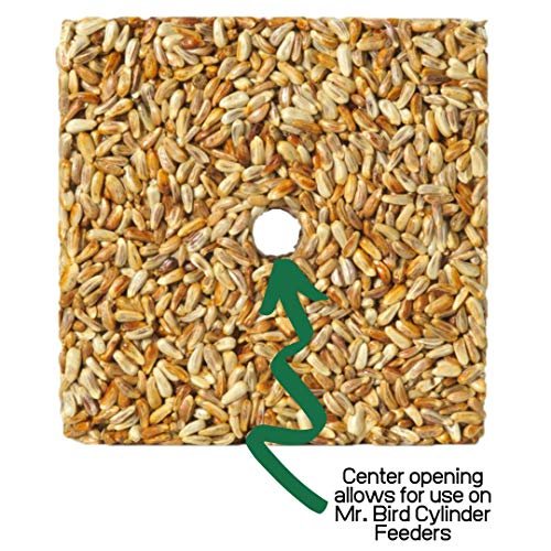 Mr. Bird 6-Pack Safflower Cake Safflower 4 Oz