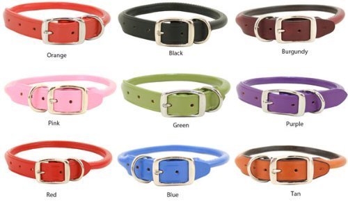 Rolled Leather Collar, Classic Rounded Edges with a Nickel-Plated Buckle, A Festive Choice for Small, Medium and Large Dogs, Made in The USA