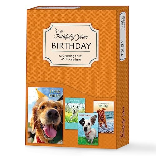 Designer Greetings Faithfully Yours Boxed Everyday Assortment Cards