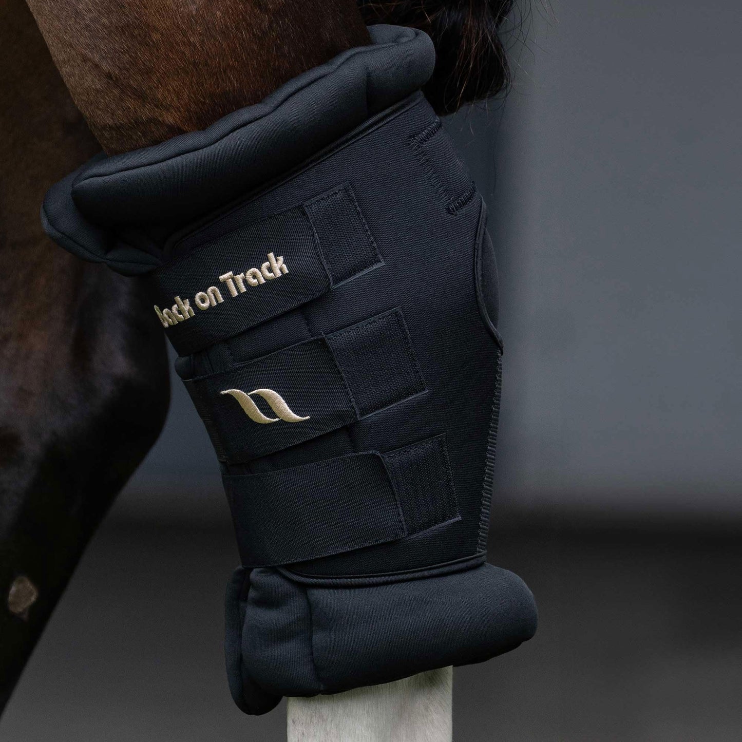 Back on Track Royal Padded Hock Boots Deluxe w/Holes - Equestrian Protective Supportive Horse Hock Boots with Hook & Loop Closure, Black - L