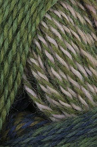 Schoppel Wolle - Zauberball Crazy Knitting Yarn - Green/Navy/ Peach (# 2292)