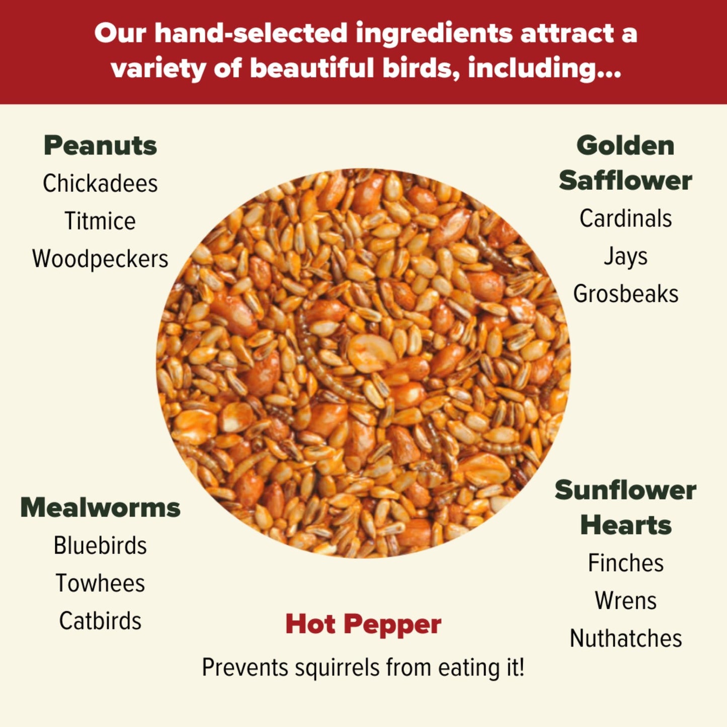 Mr. Bird Flaming Hot Feast Small Loose Seed Bag 2 lbs.
