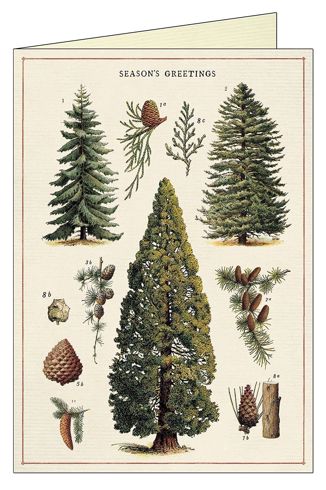 Cavallini Christmas Trees Glitter Boxed Notes, Set of 10 (GGHOLBOX36)