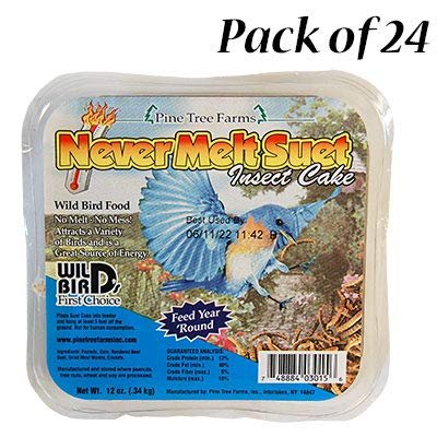 Pack of 24 Pine Tree Never Melt Insect Suet Cakes, 12 oz. Each