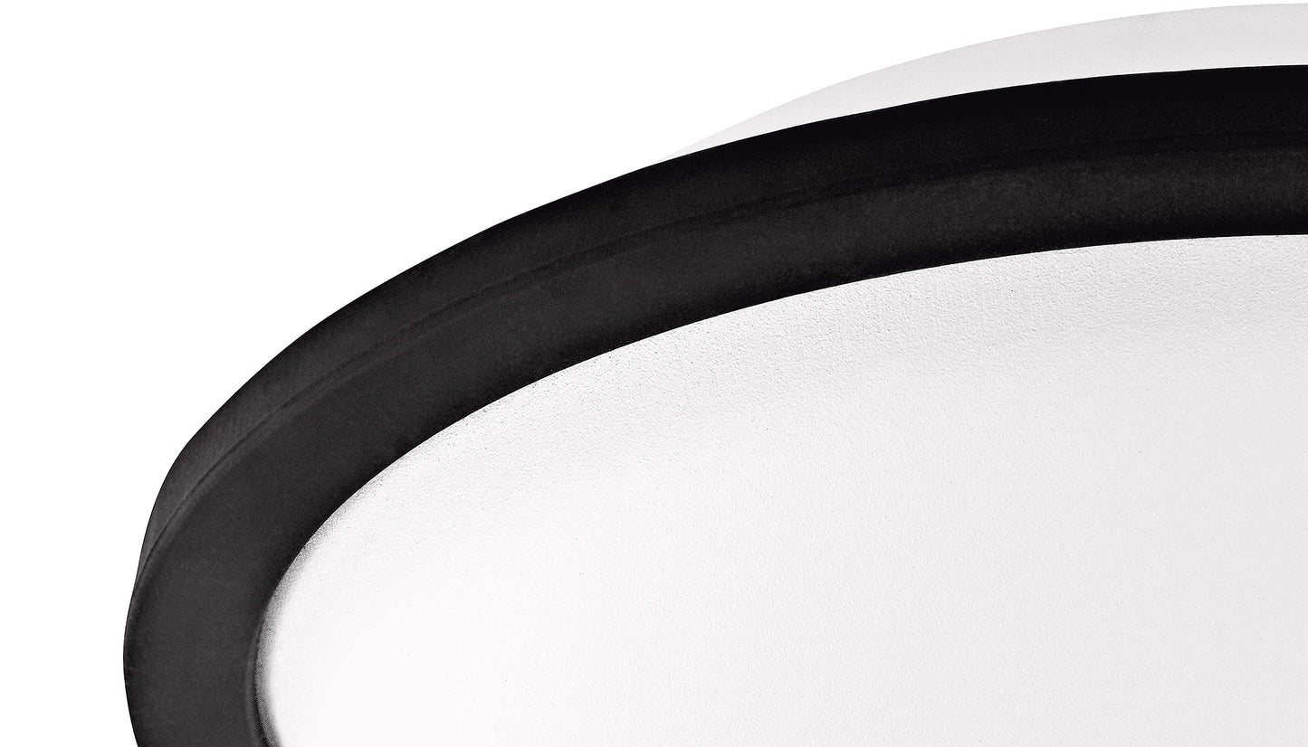 Nino Percussion Mini Melody Steel Tongue Drum with Mallets — for All Ages — Easily Create Songs, for Classroom Music, 2-Year Warranty (NINO980WH)