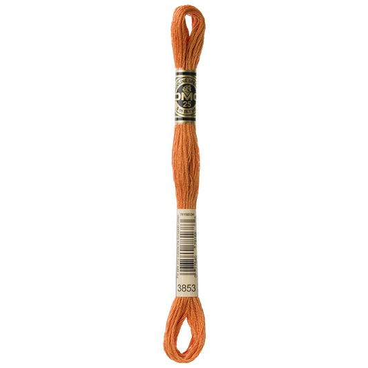 Dmc 6-Strand Embroidery Cotton 8.7yd-Dark Autumn Gold