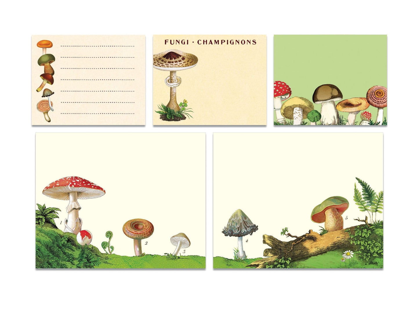 Cavallini & Co. Mushrooms Sticky Note Set