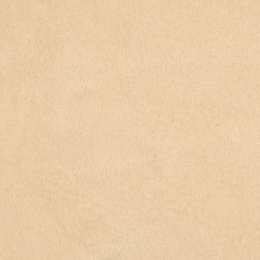 Shannon Minky Solid Cuddle 3 Extra Wide Ivory, Fabric by the Yard