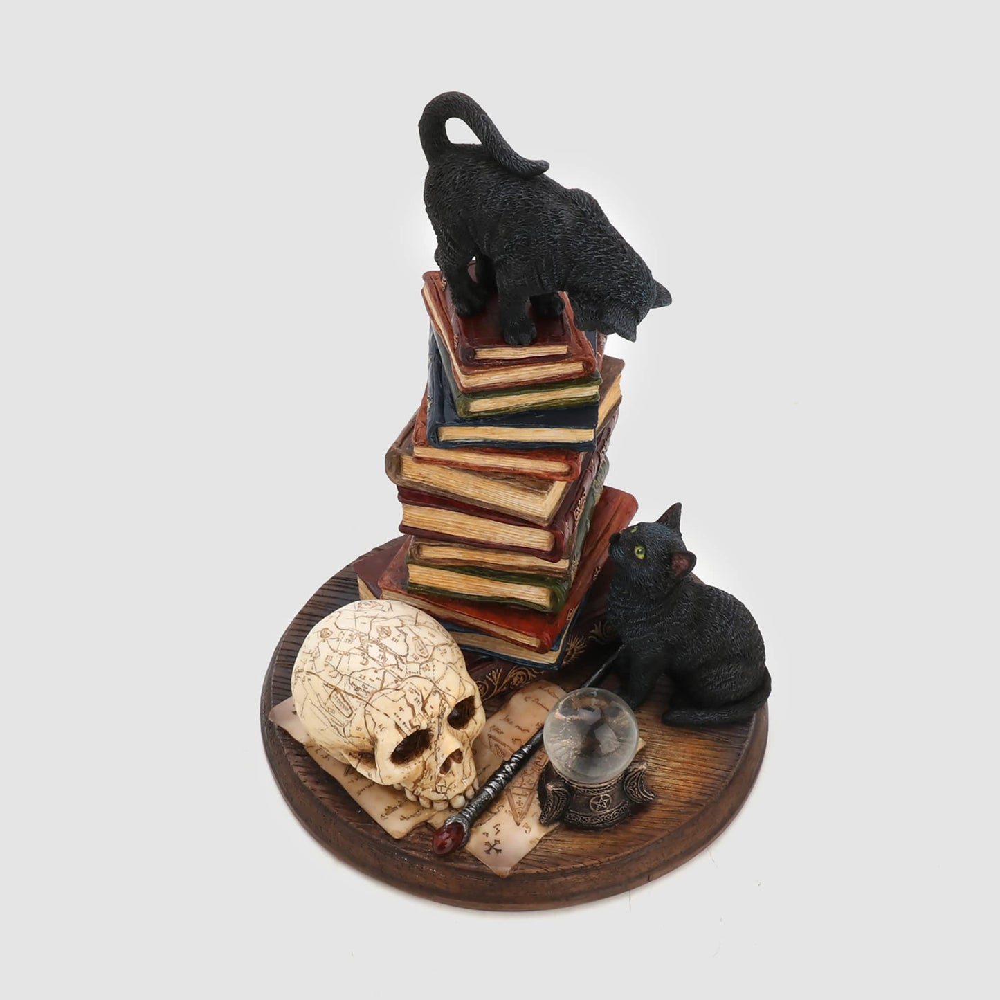 Veronese Design 7 1/4 Inch The Moral High Ground Resin Cat Figurine Hand Painted Finish
