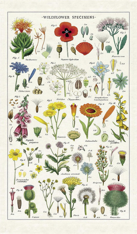 Cavallini Papers & Co. Wildflowers Tea Towel, Multicolor