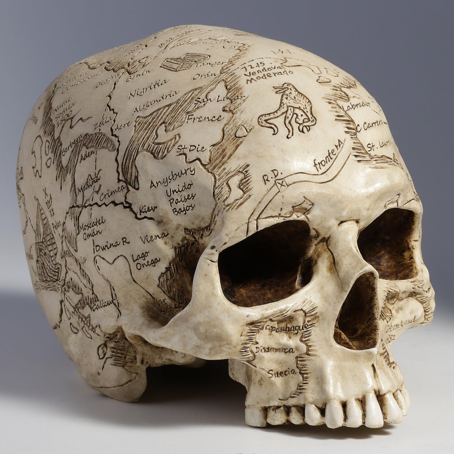 Veronese Design Craniumography Old Treasure Map Skull