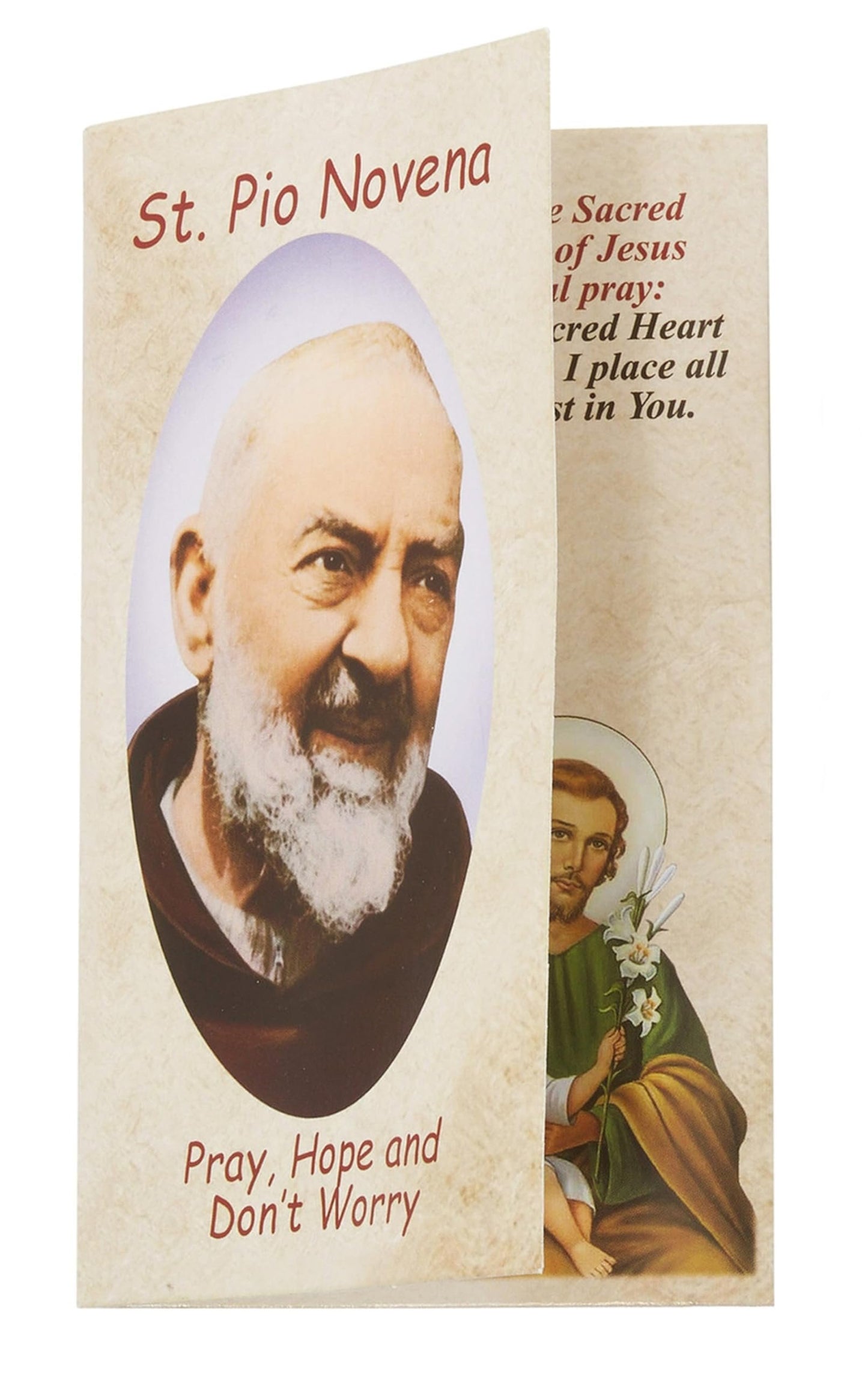 St Pio Novena Chaplet Brown Prayer Beads with Full Color Medal and How To Pray Chaplet Card