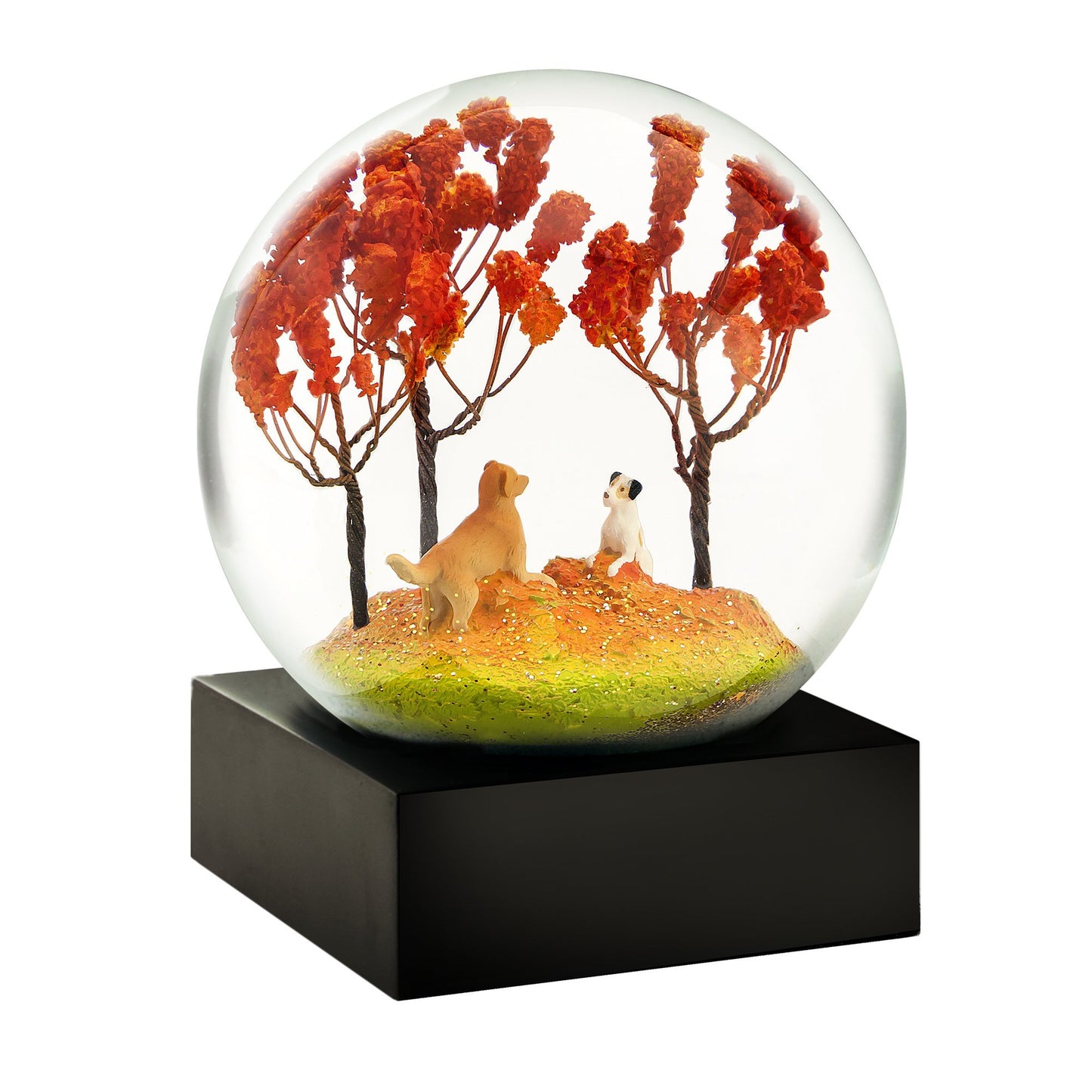 CoolSnowGlobes Wild Birds of Nature Snow Globes