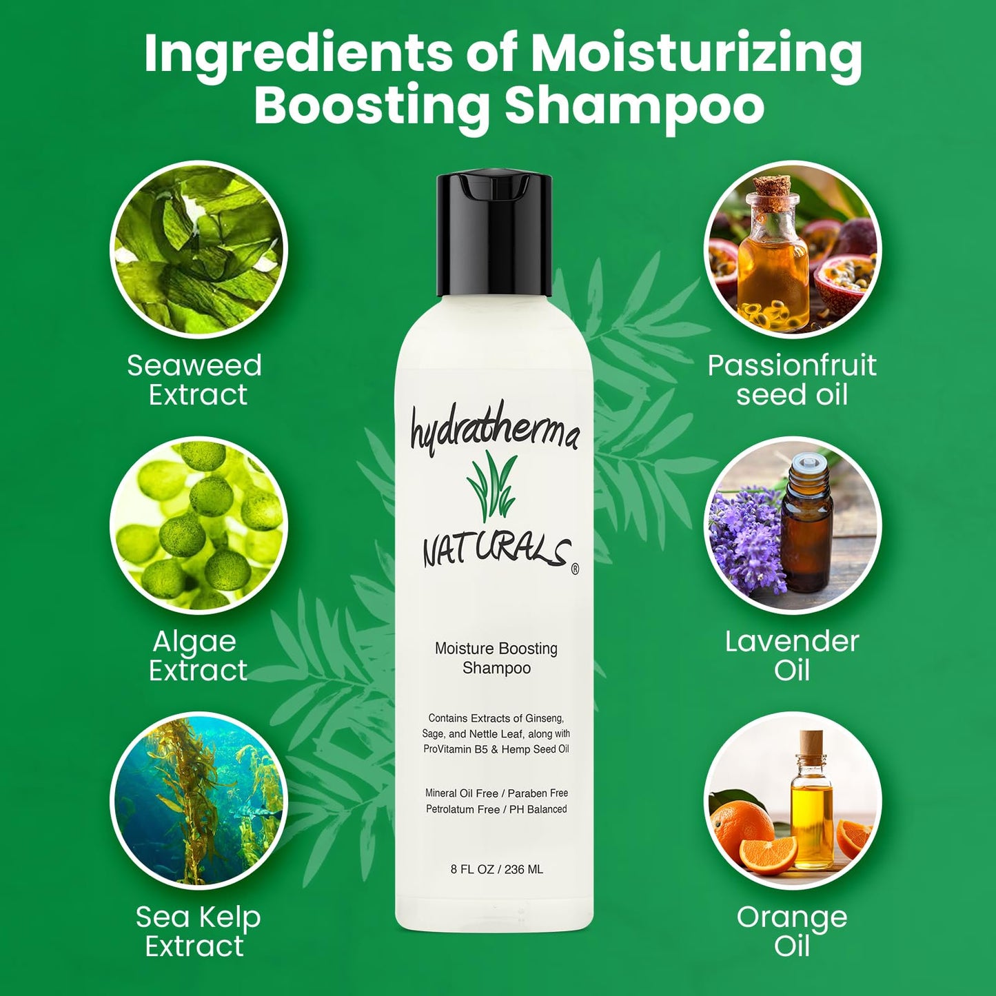 Hydratherma Naturals Moisturizing Boosting Shampoo, 8.0 fl. oz.