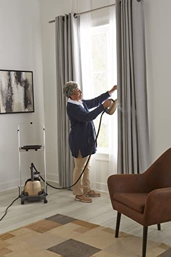 Laurastar Lift Xtra 1980 Steam Iron: Swiss Engineered 3-in-1 Steam Generator that Irons, Steams, and Purifies Your Clothes
