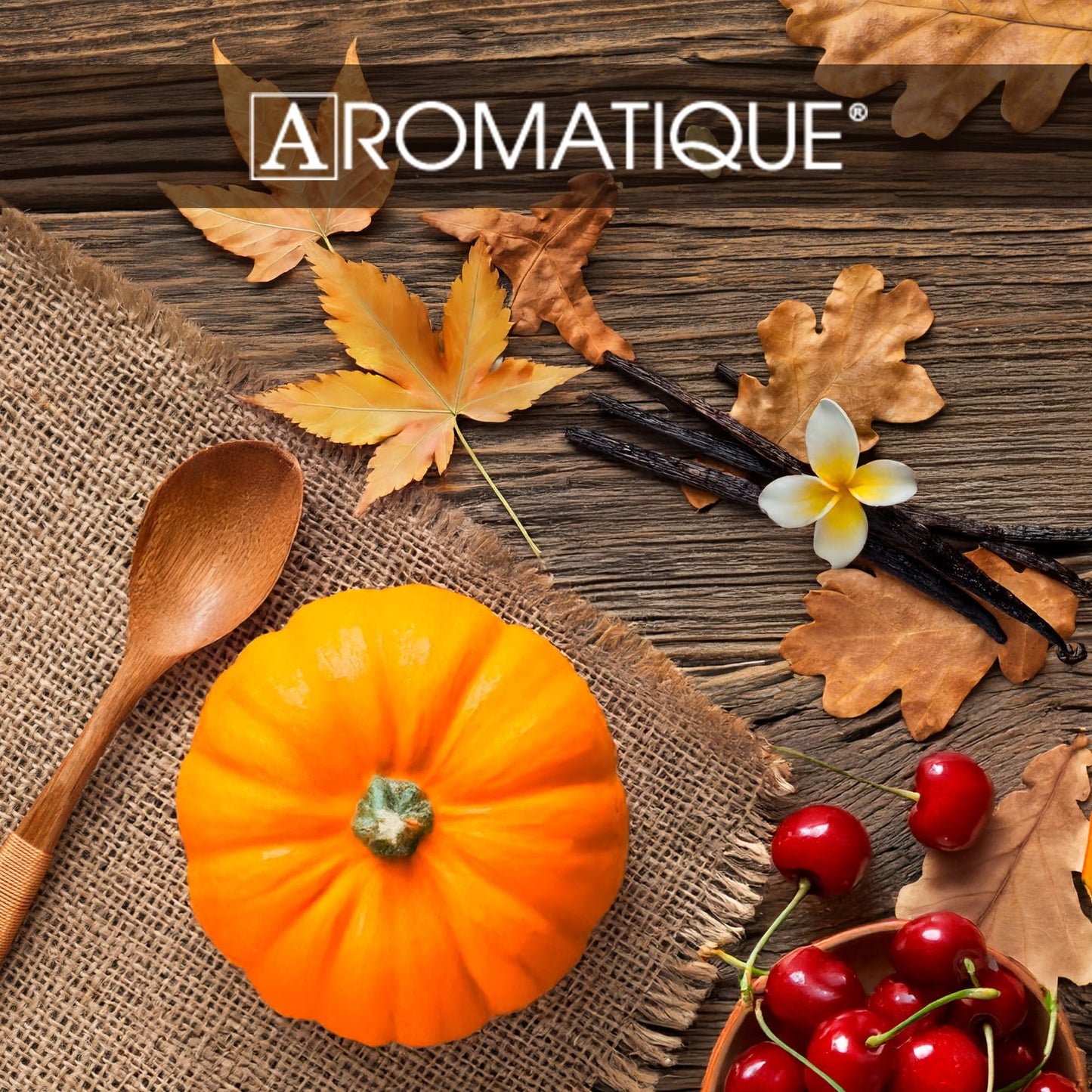Aromatique Pumpkin Spice Fragrant Refresher Oil .5 fl oz