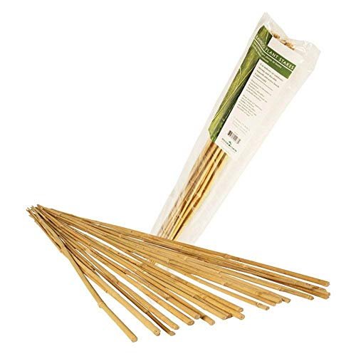 Hydrofarm Natural Bamboo Stake