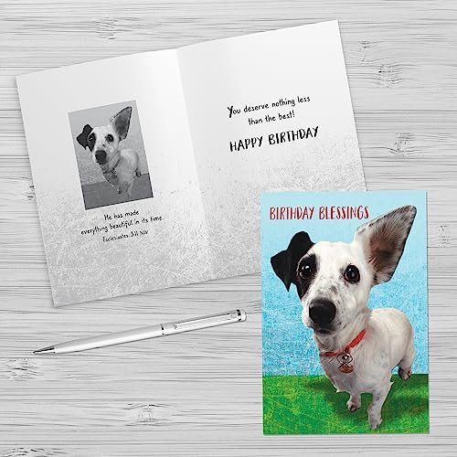 Designer Greetings Faithfully Yours Boxed Everyday Assortment Cards