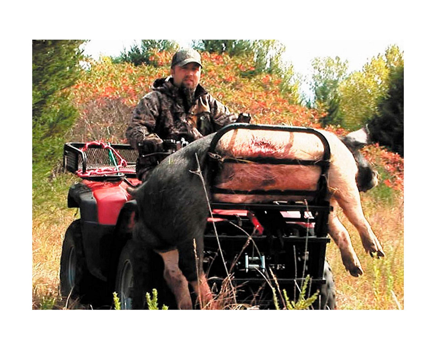 Great Day Custom Cart Front Power Loader 350 lbs Capacity - Aluminium Finish, PL250, Black