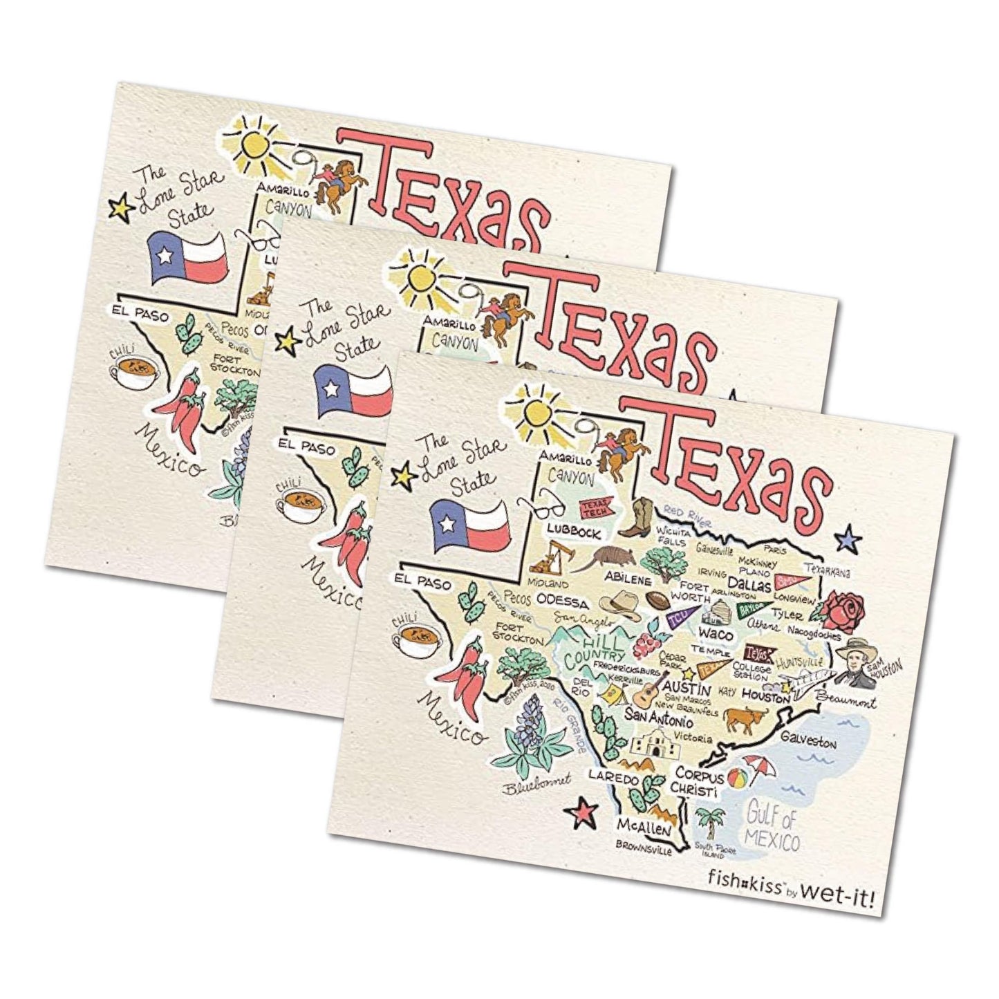 Wet-It! Swedish Dishcloth States – Reusable Paper Towels, Highly Absorbent & Biodegradable Dish Cloths, Non-Scratch, Durable, Machine Washable Cleaning Towels