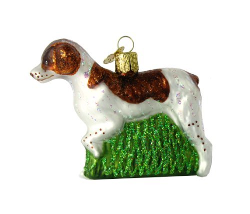 Old World Christmas Bird Watcher Collection Glass Blown Ornaments for Christmas Tree