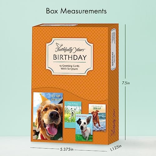 Designer Greetings Faithfully Yours Boxed Everyday Assortment Cards