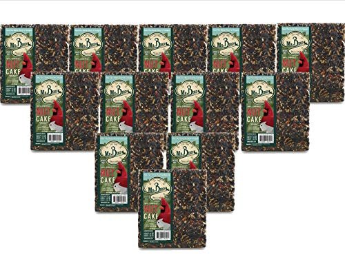 Mr. Bird WildBird Nut Cake XL Wild Bird Seed Cake 1 lb. 12 oz.