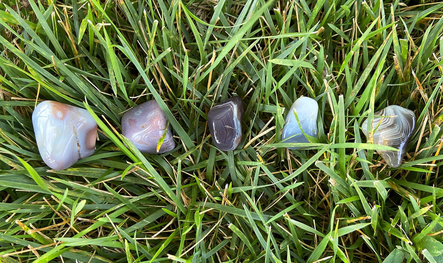 Zentron Crystal Collection: Tumbled Grey Botswana Agate Gemstones in Velvet Bag (1 Pound)